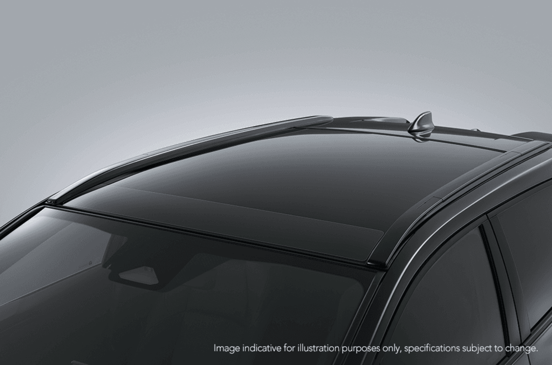 Roof Protection Film
