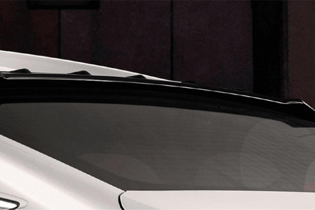 ROOF SPOILER