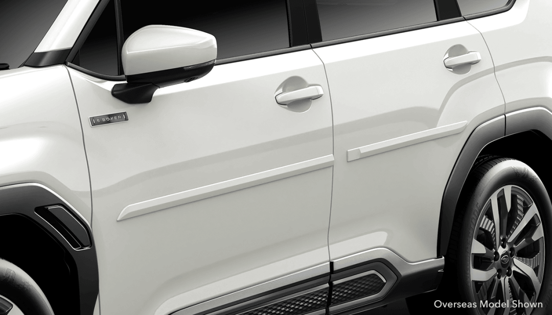 Body Side Moulding (painting required)