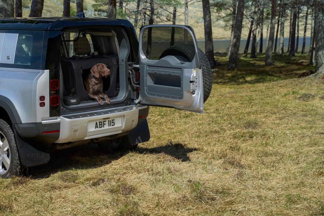 Pet Transportation Pack