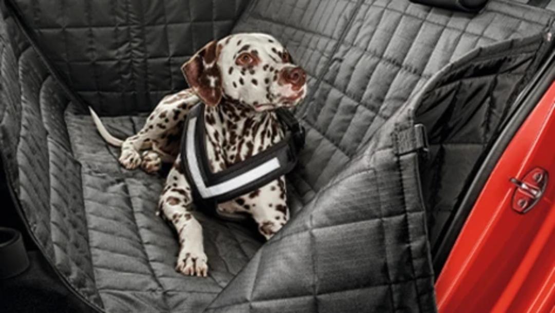 Rear passenger seat protection