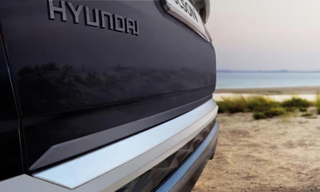 Tailgate Trim Line - Brushed Alloy