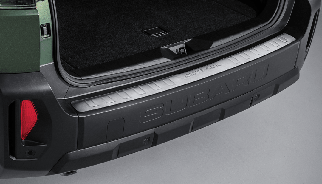 Cargo Step Panel (Stainless)