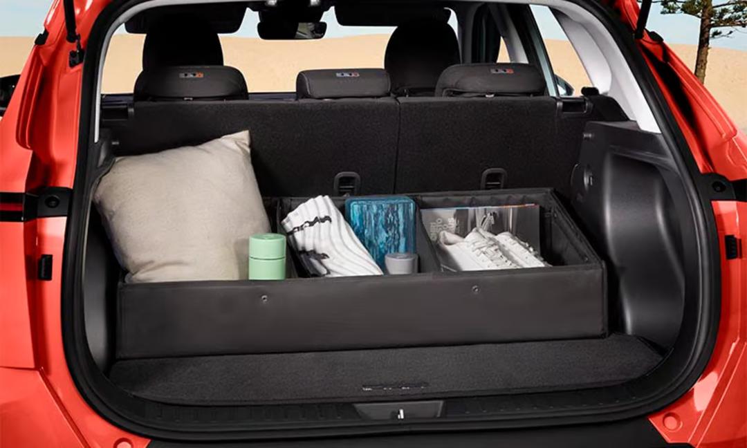 Luxury cargo organiser