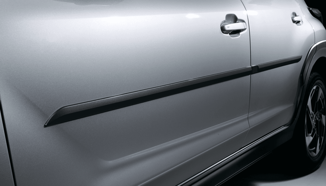 Body Side Moulding (painting required)