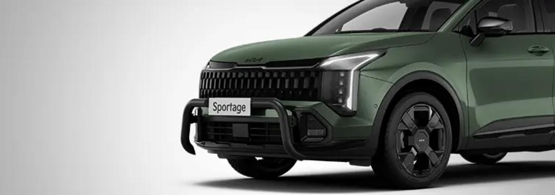 Nudge Bar - Powder Coated (SX+ GT-Line)