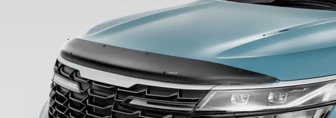 Nose Cone Protector - Smoked