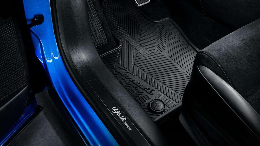 Floor Mats All Weather