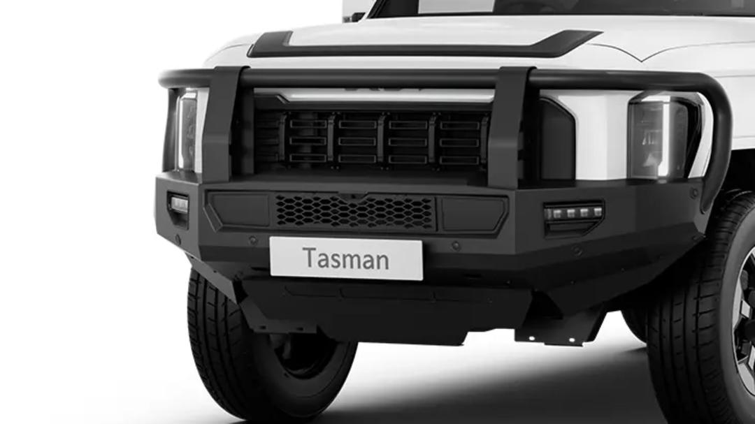 (SX+) Bull Bar - Full Hoop