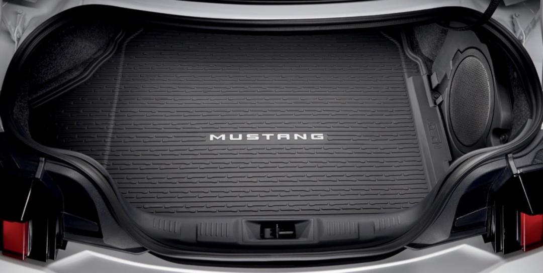 Luggage Mat