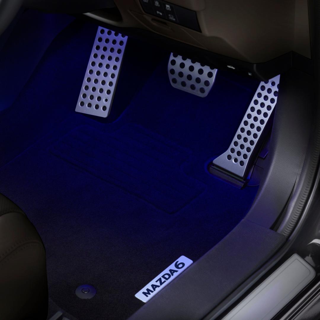 FLOOR MATS