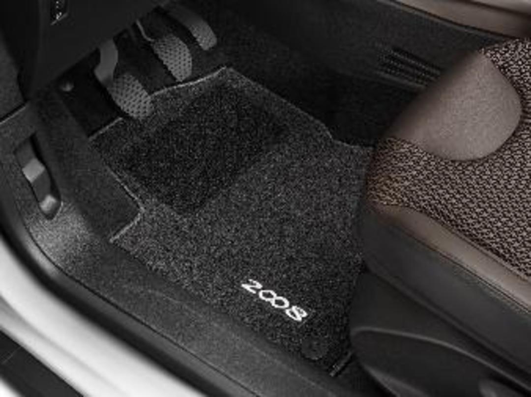 Needle-pile floor mats - front and rear