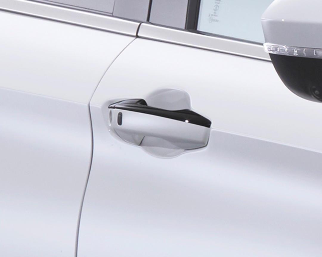 Black door handle accent