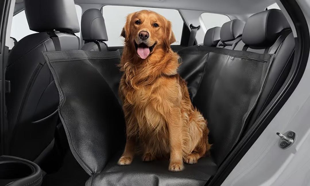 Rear Seat Pet Cover
