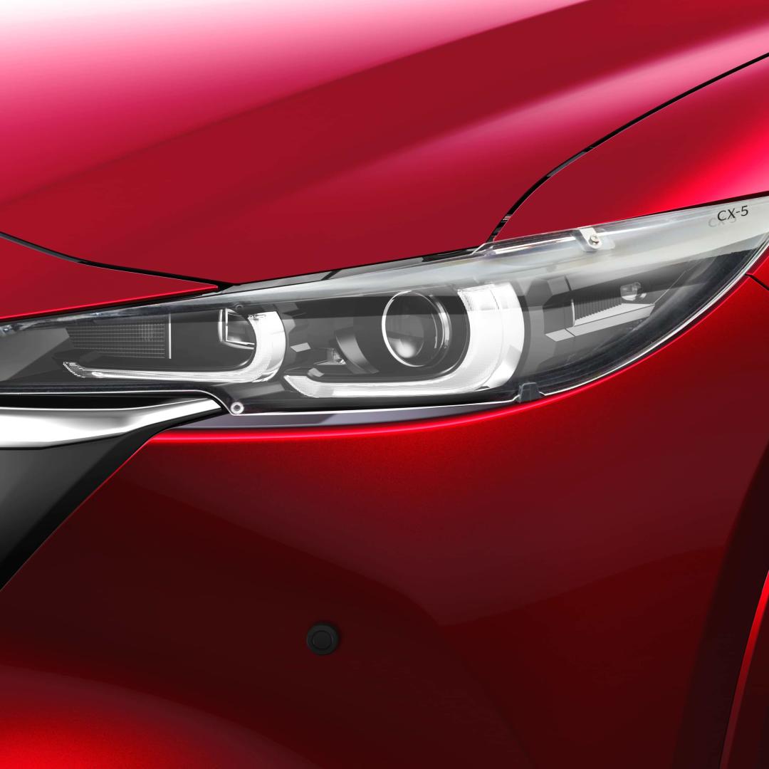 Headlight Protectors