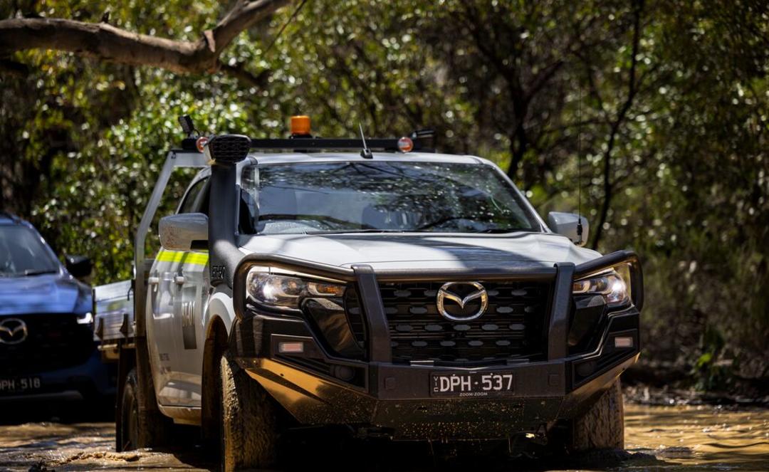 Bull Bar - Hoops (Premium textured finish)