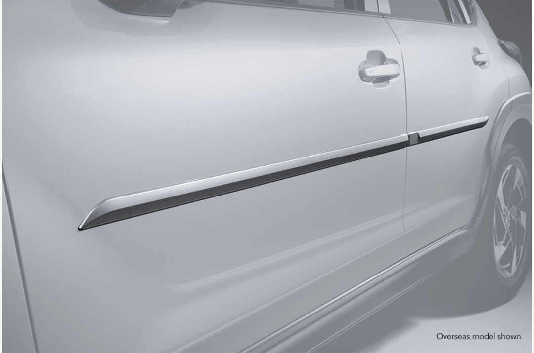 Body Side Moulding (painting required)