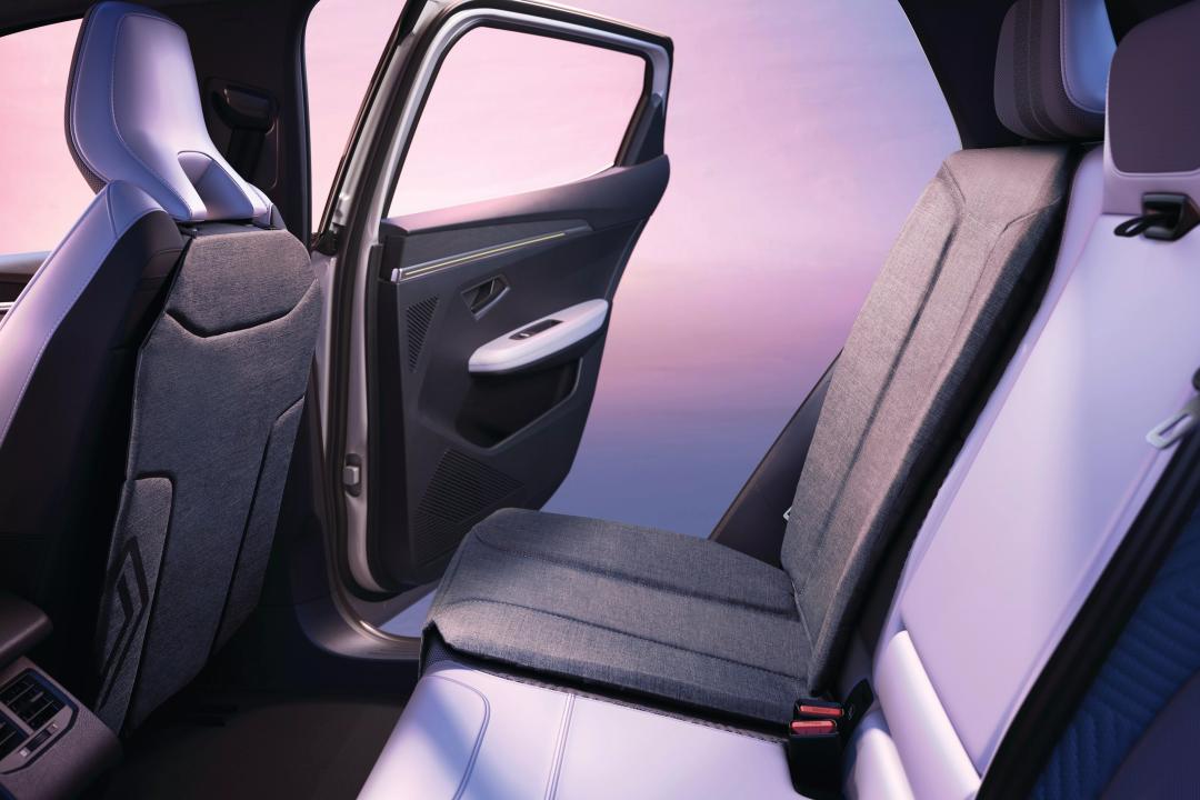 child seat protector & kick mat