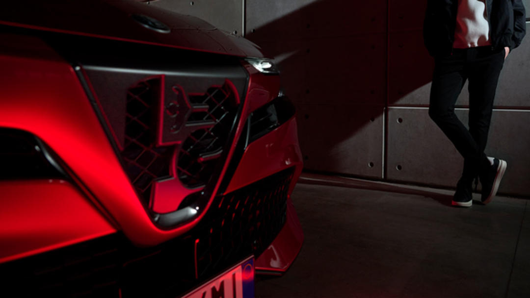 Progresso Scudetto Grille (Paint excluded)