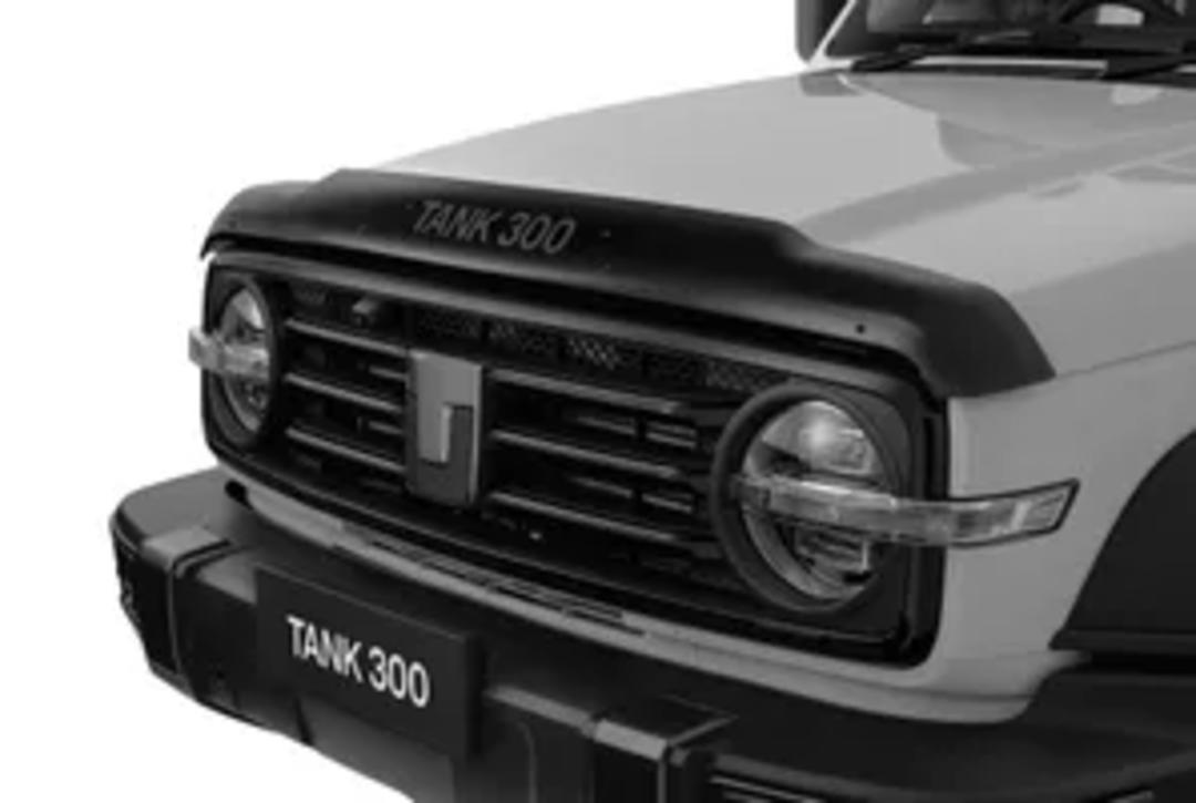 Tank 300 Bonnet Protector – Tinted