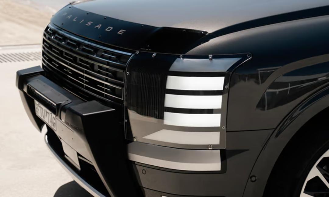 Headlight protector