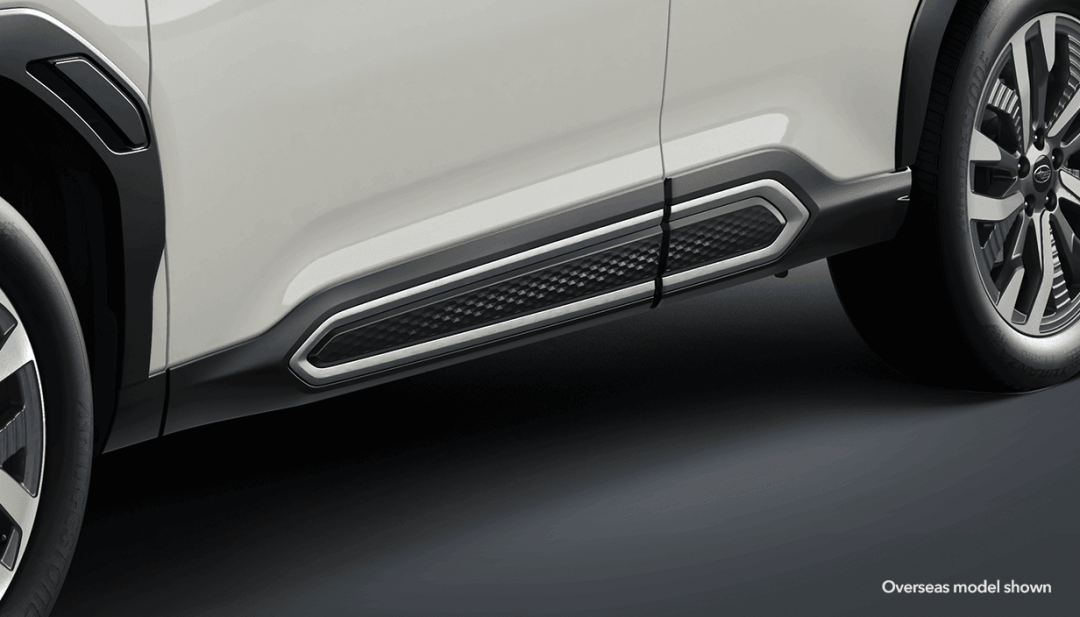 Lower Door Garnish - Silver