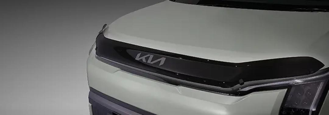 Bonnet Protector - Dark Tint