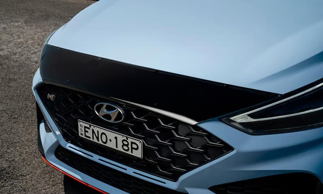 Bonnet protector | dark tint