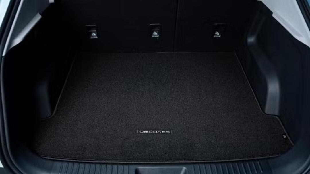 Carpet Cargo Mat