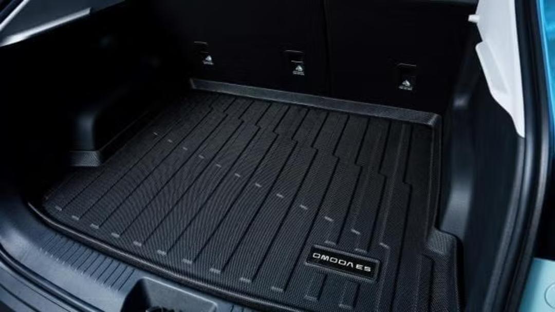 Cargo Tray