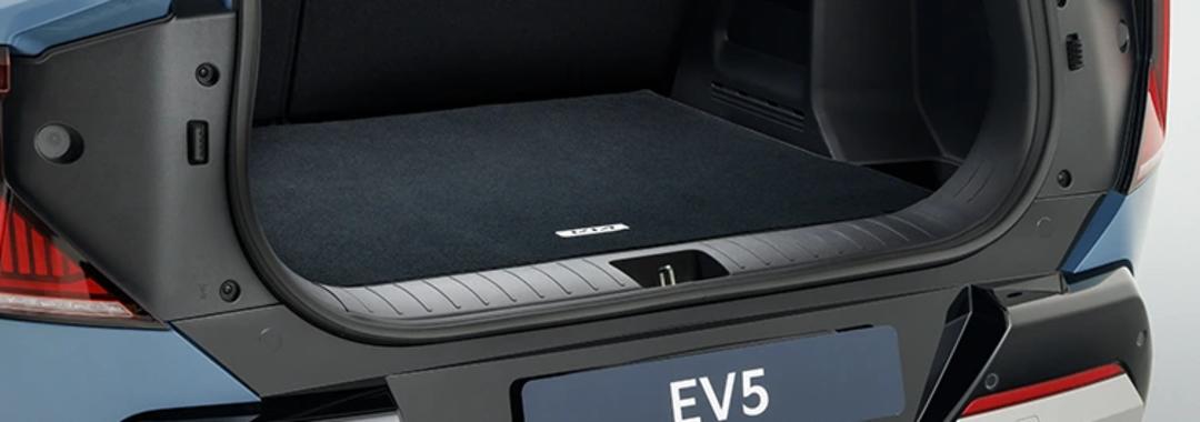 Carpet Cargo Mat