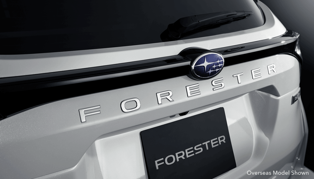 Rear Tailgate Badge - Silver