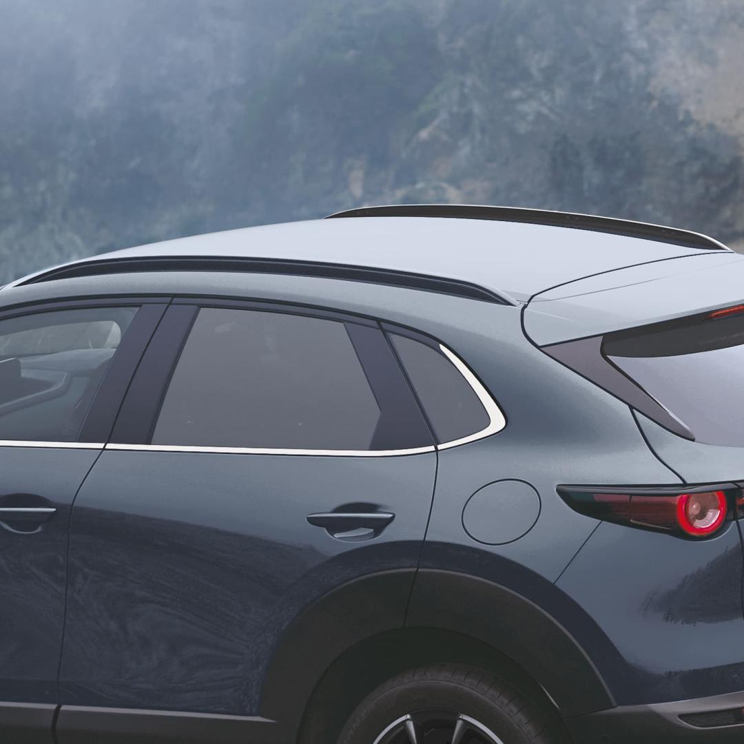 BLACK ROOF RAILS