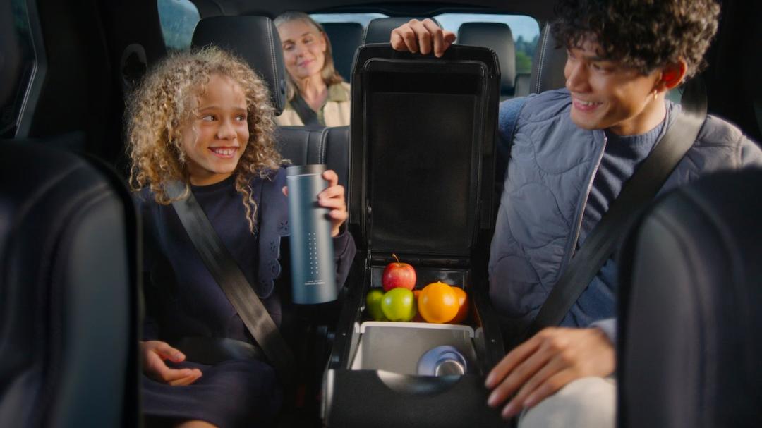 Centre Armrest Cooler/Warmer Box