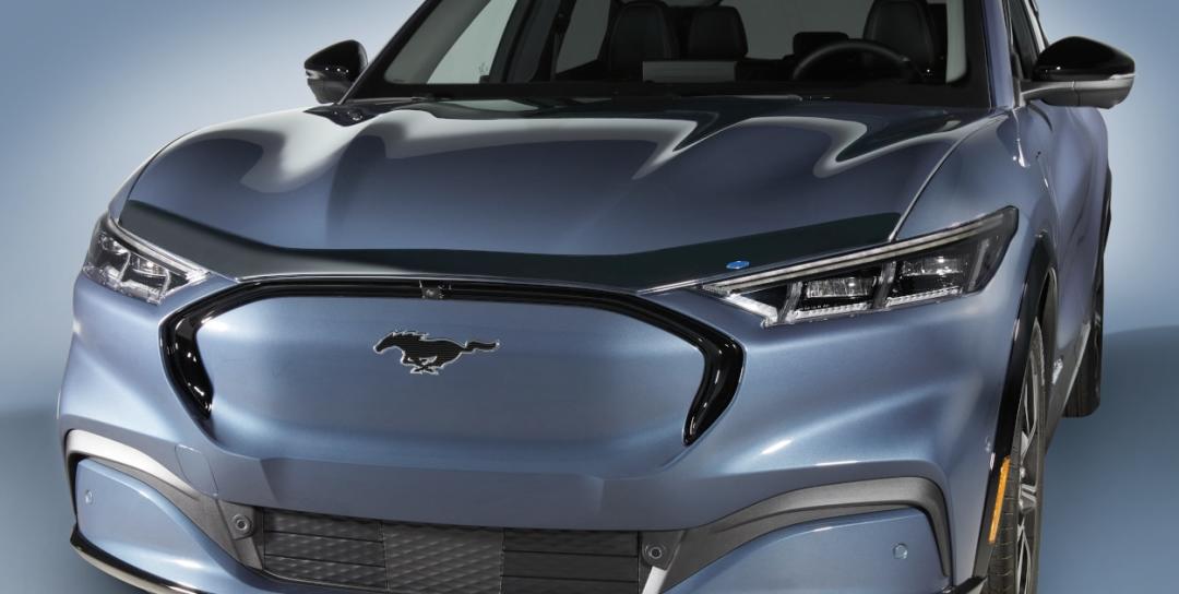 Bonnet Protector