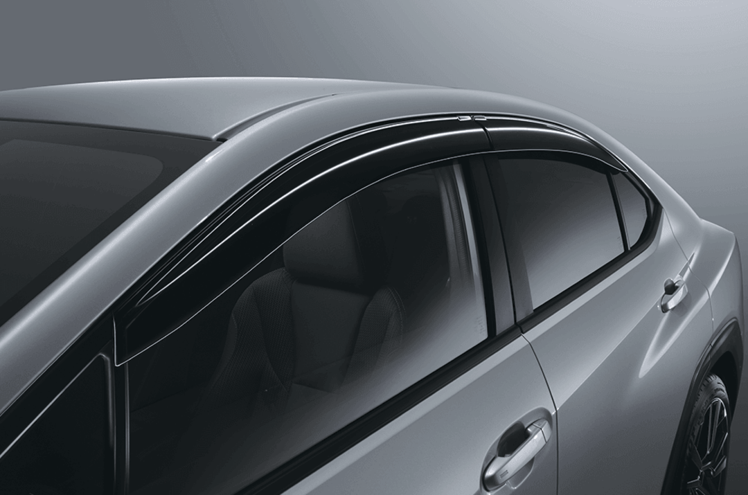 Door Visor