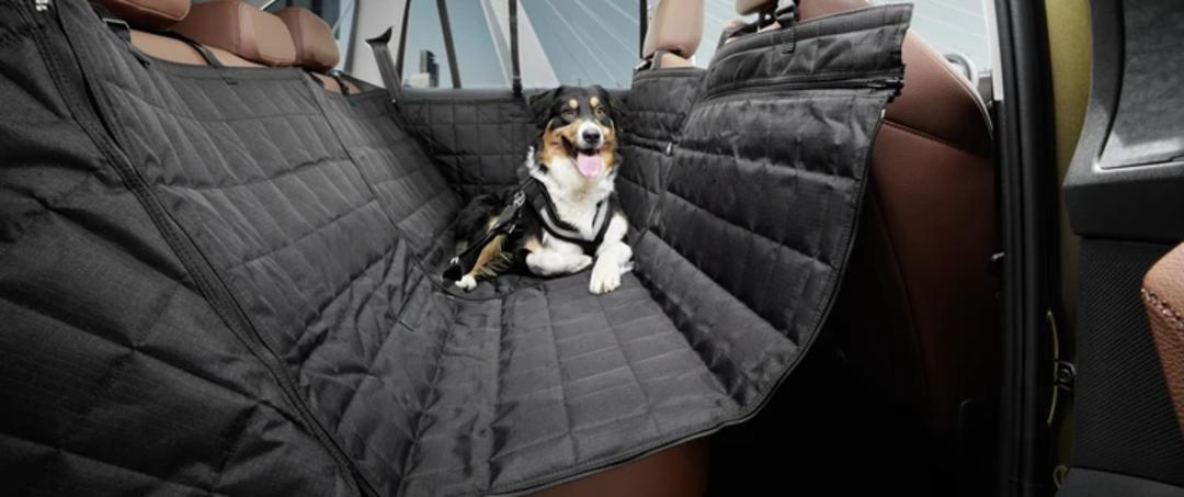 Rear seat protection