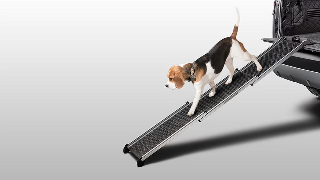 Pet Access Ramp
