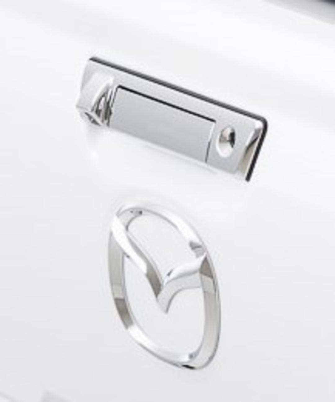 Tailgate Central Locking