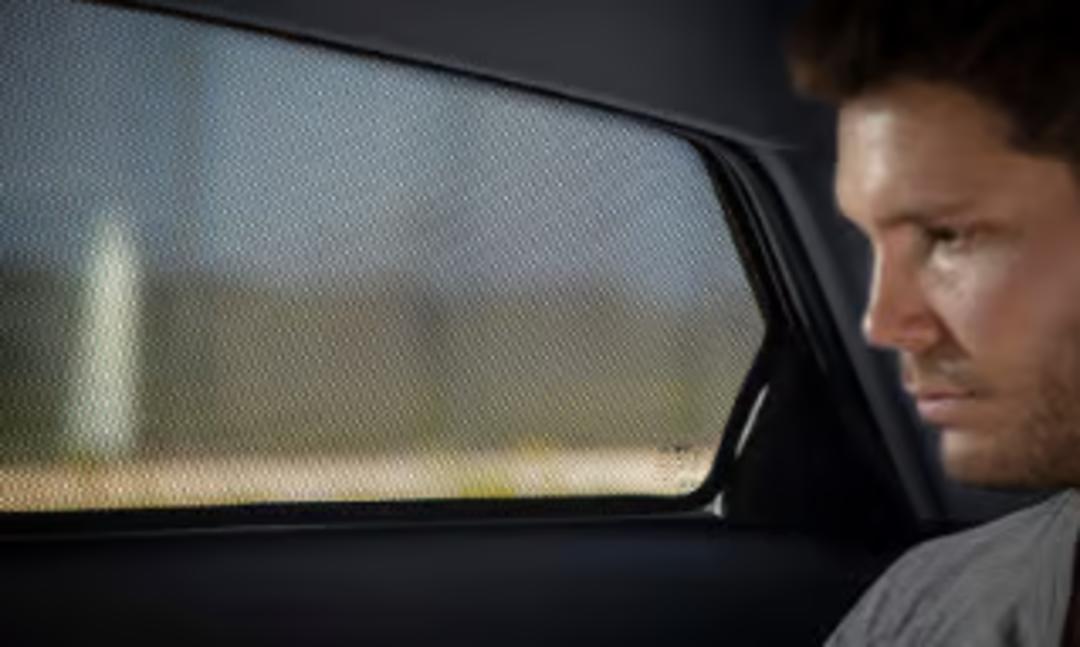 Rear window shades