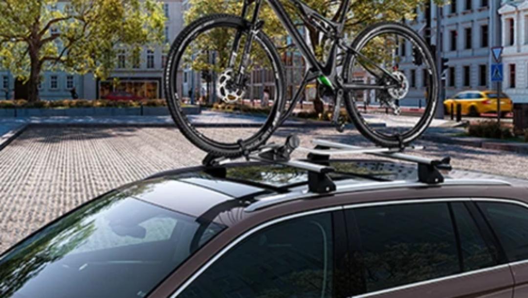 Roof racks (Wagon) & Bike carrier