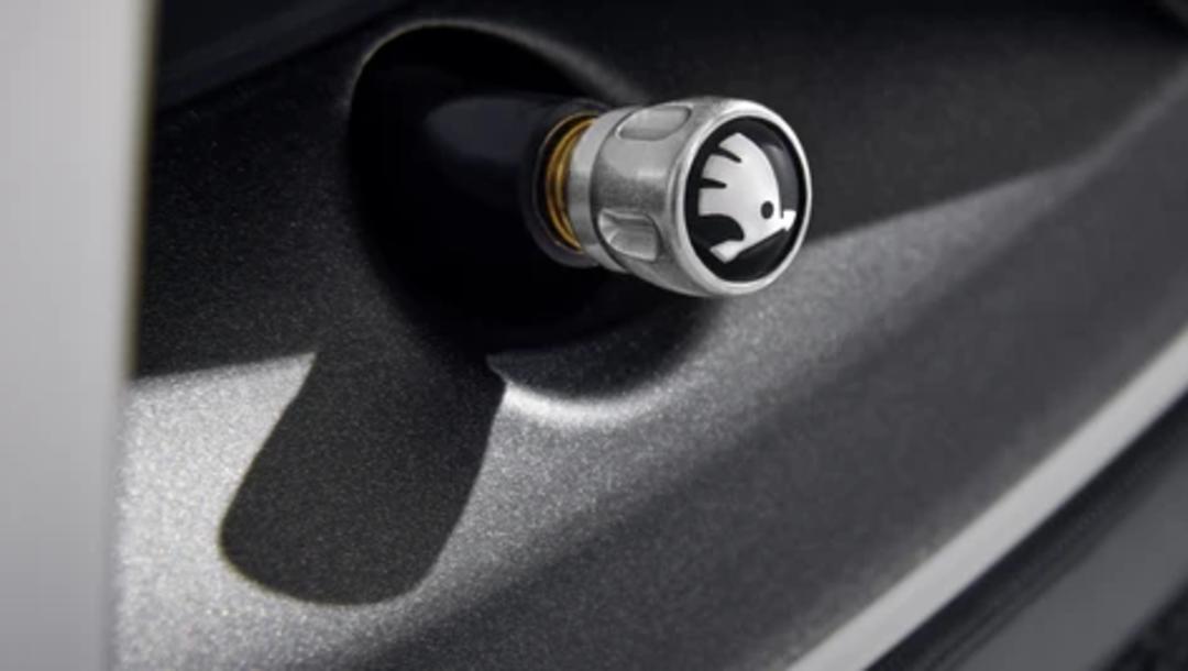 Decorative valve caps