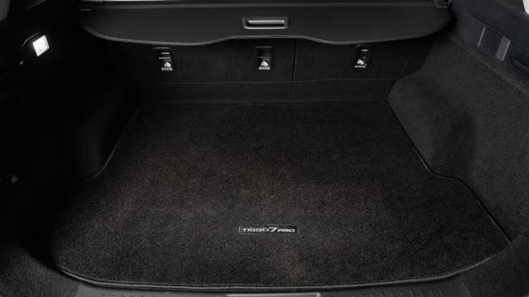 Carpet Cargo Mat