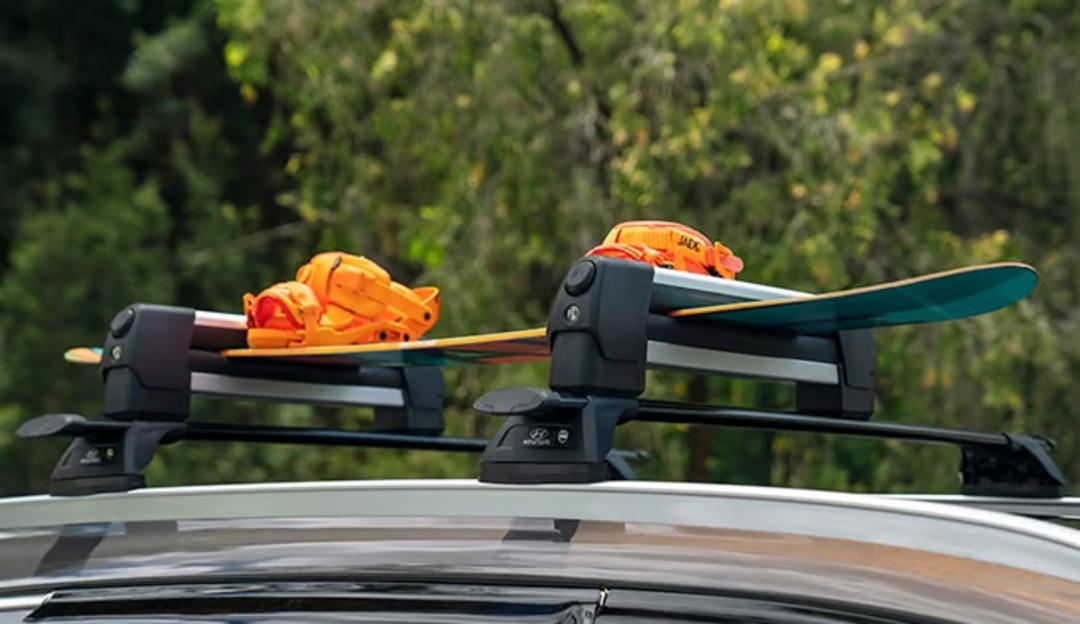Ski & Snowboard Carrier