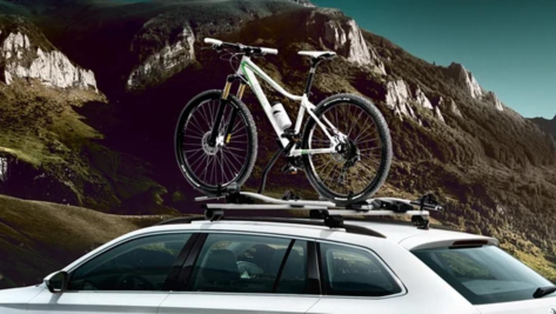 Roof racks (Wagon) & Bicycle carrier