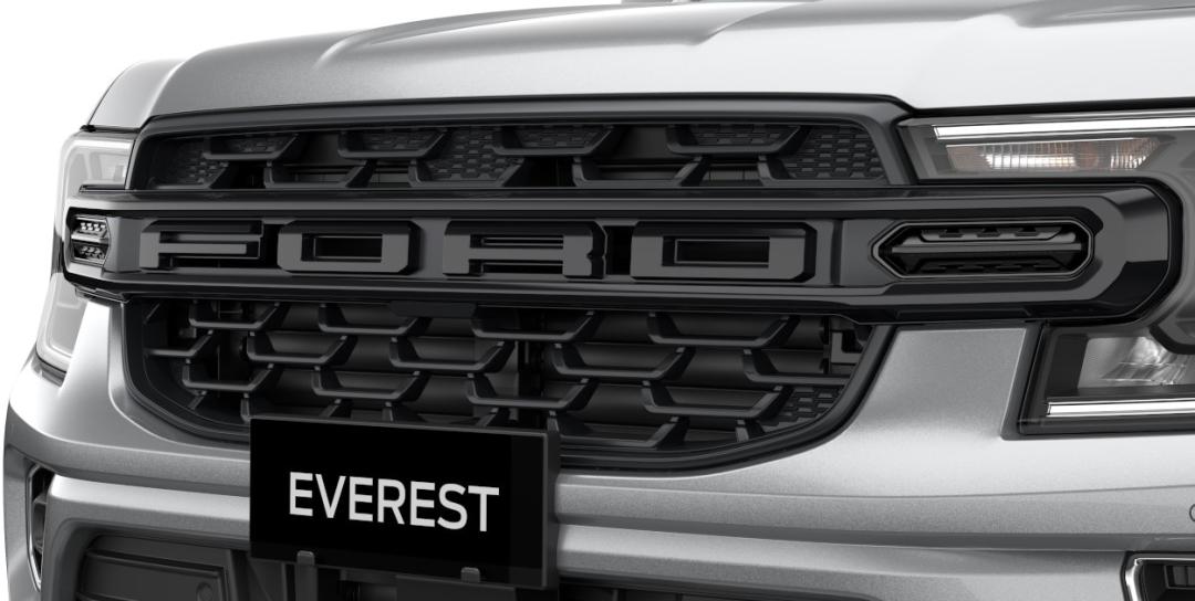 Ford Grille Black - Ambiente/Trend/Sport
