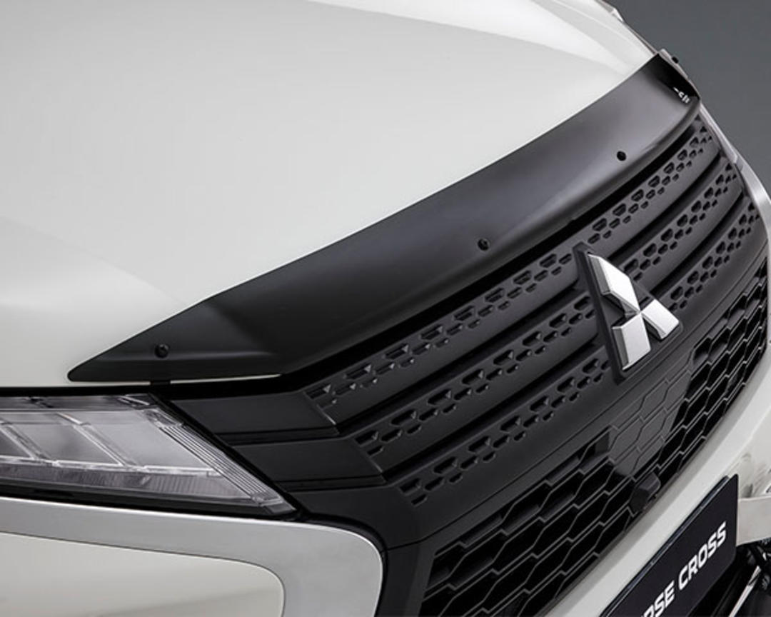 Bonnet protector - tinted