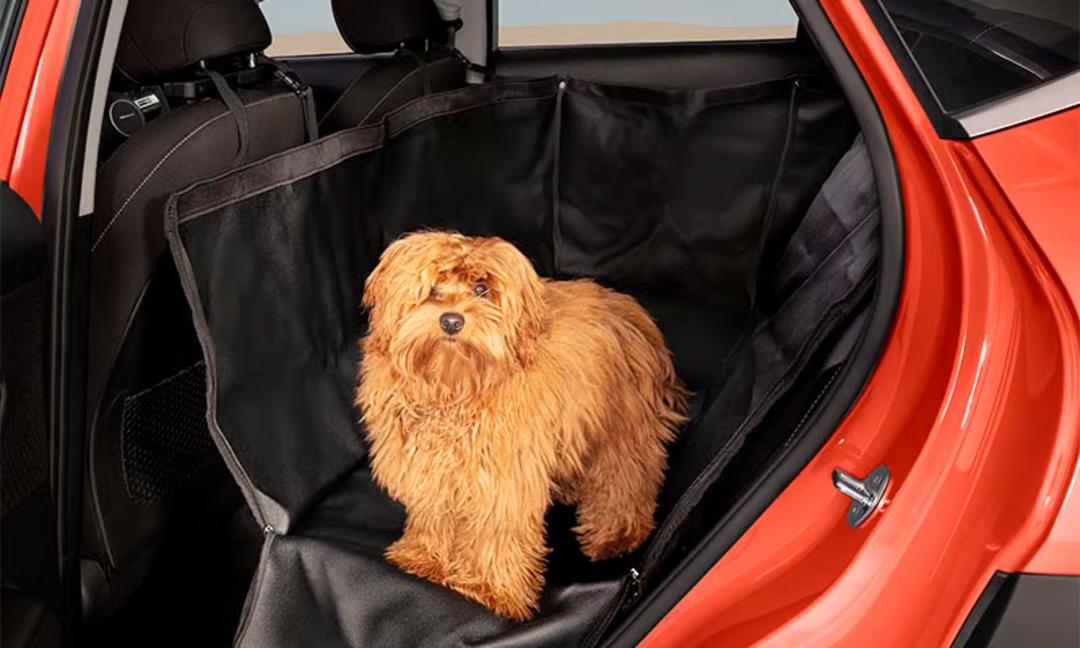 Rear seat pet cover