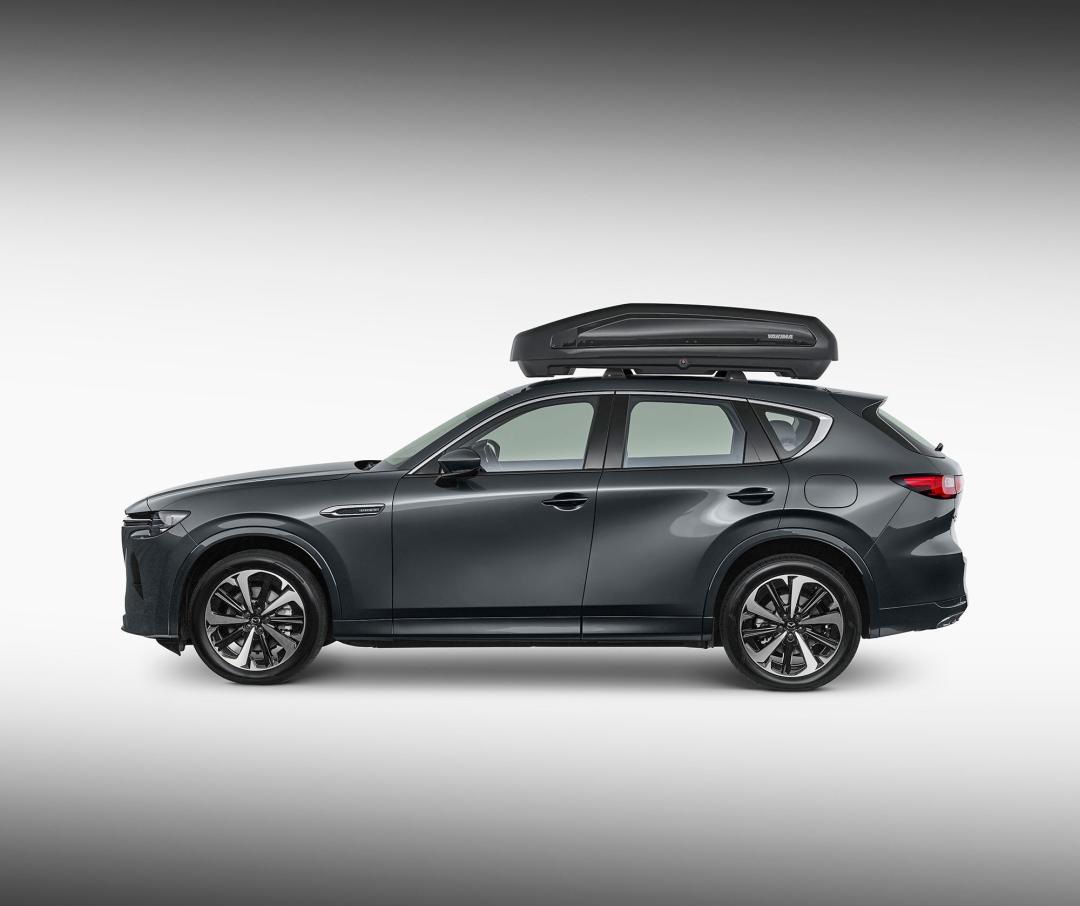 ROOF CARRY POD - 470L