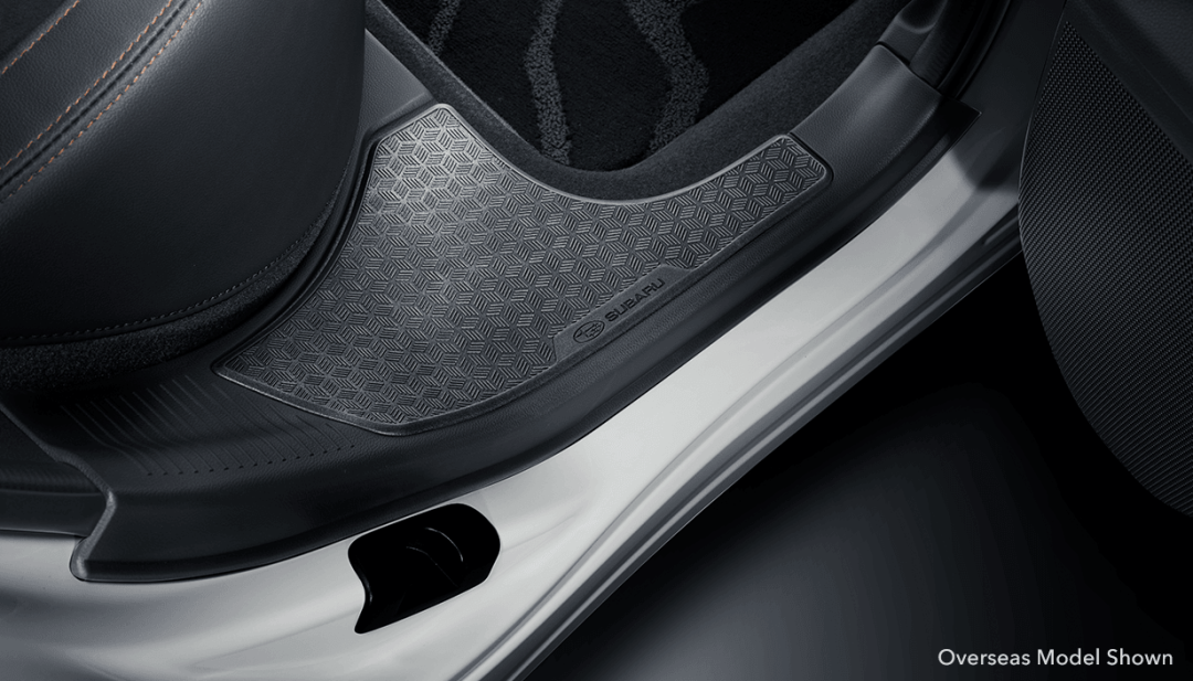 Rear Seat Step Guard